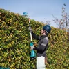 Kép 2/3 - Makita DUN500WZ 18V magassági sövényvágó (akku és töltő nélkül)